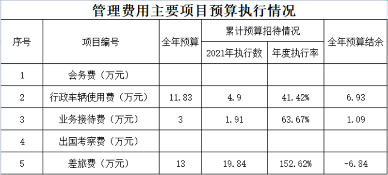 集團財務核算部2021年度管理費用主要項目預算執(zhí)行情況_副本.png