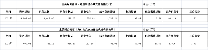 ?？诠患瘓F(tuán)及下屬各子公司2022年度信息公開財務(wù)主要指標(biāo)明細(xì)2_副本.png